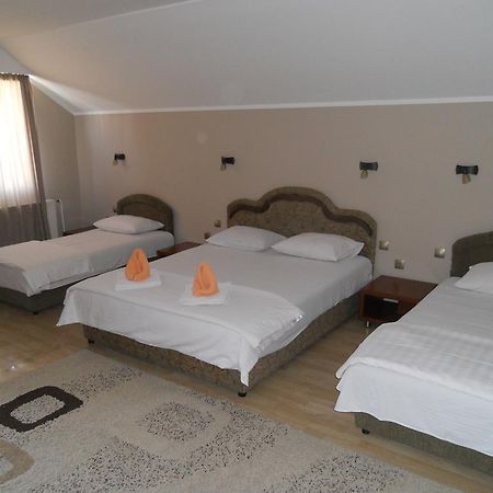 Guest House Vila Bor Novi Sad Exterior photo