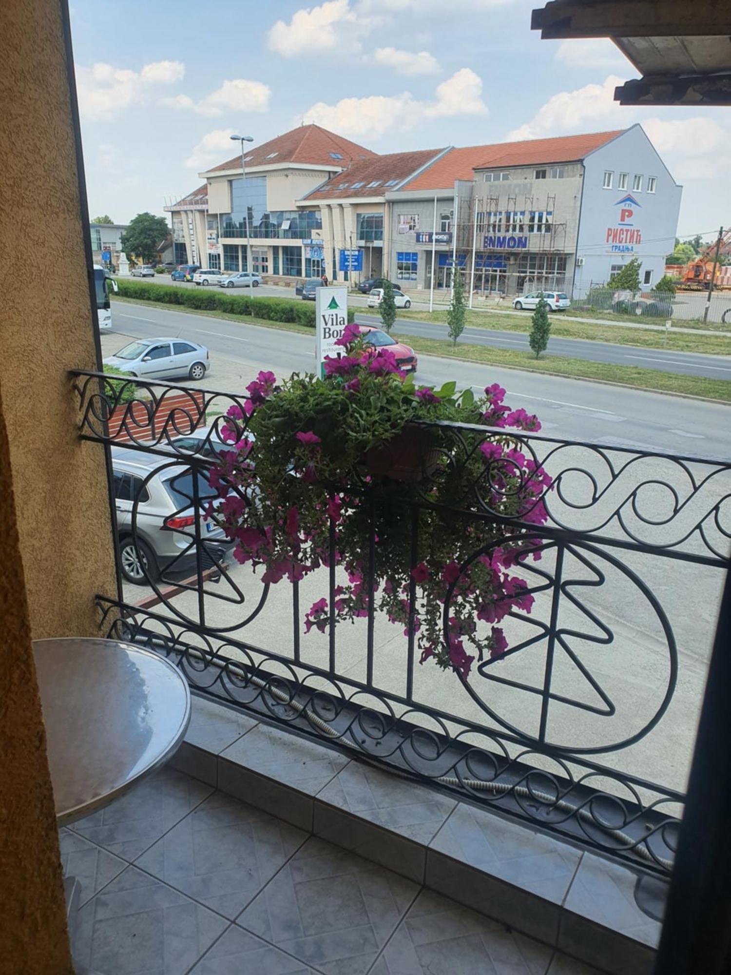 Guest House Vila Bor Novi Sad Exterior photo